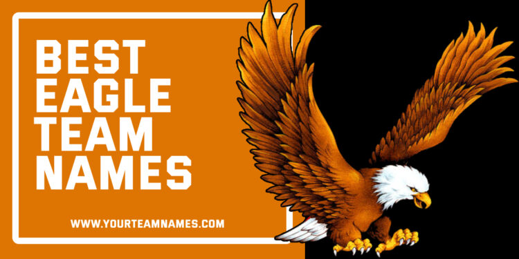 Creative Eagle Team Names Ideas for the Sports and Games Team