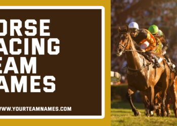 Best Horse Racing Team Names Ideas and Suggestion